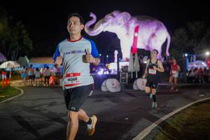 BIB: 
                            <button type="button" onclick="openModal(26552008)" class="btn btn-primary btn-sm float-right btn-popup" data-toggle="modal" data-target=".modal-high-quality">
                        <i class="fas fa-shopping-cart"></i> Add to Cart
                    </button>
                                            <button type="button" onclick="isThisMe(26552008, true)" class="btn btn-success btn-sm float-right btn-popup btn-isme hidden" data-toggle="tooltip" data-placement="bottom" title="นี่คือรูปของคุณใช่ไหม คลิกที่นี่เพื่อเอาเข้าอัลบั้ม">
                        <i class="fas fa-plus"></i> Add to album
                    </button>
                    <button type="button" onclick="isThisMe(26552008, false)" class="btn btn-warning btn-sm float-right btn-popup btn-isnotme hidden">
                        <i class="fas fa-ban"></i> Remove from album
                    </button>